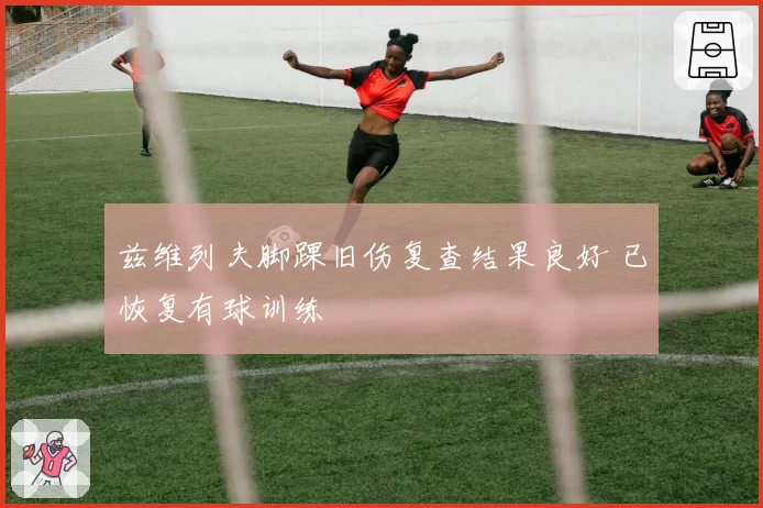 兹维列夫脚踝旧伤复查结果良好 已恢复有球训练