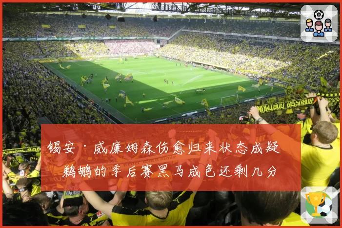 锡安·威廉姆森伤愈归来状态成疑，鹈鹕的季后赛黑马成色还剩几分？