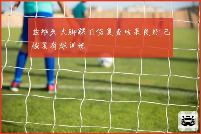 兹维列夫脚踝旧伤复查结果良好 已恢复有球训练
